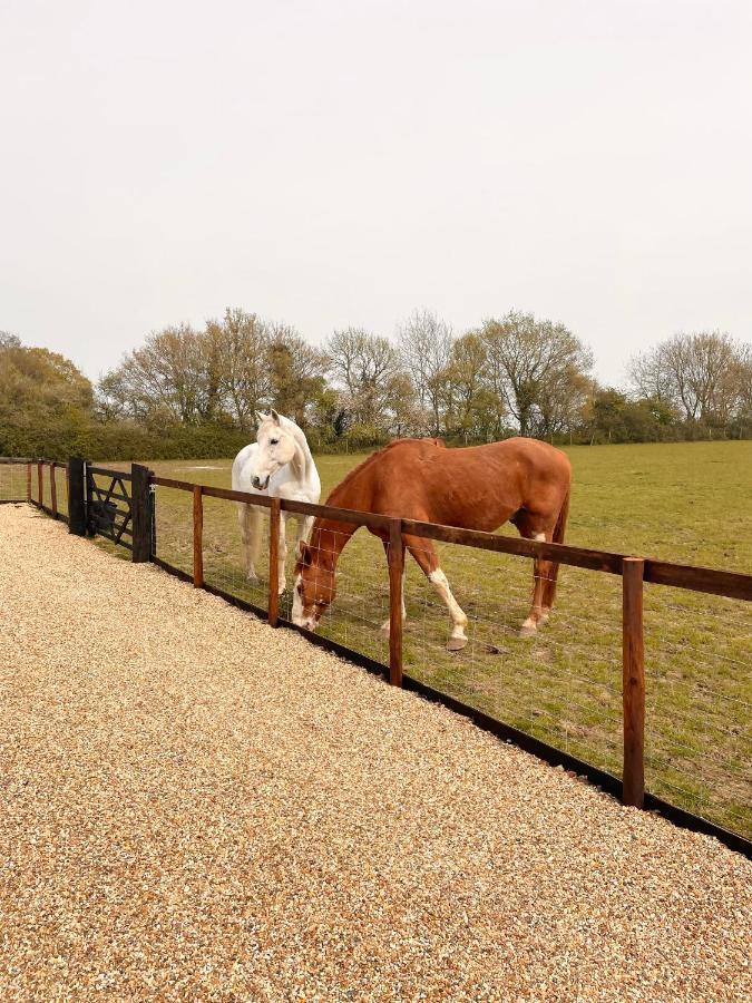 GestingthorpeThe Hayloft别墅 外观 照片